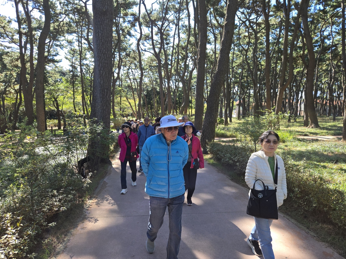 3b8ffa38a0271e6804b3c9eaf23569aa_1761640330_5893.jpg 3b8ffa38a0271e6804b3c9eaf23569aa_1761640330_5893.jpg