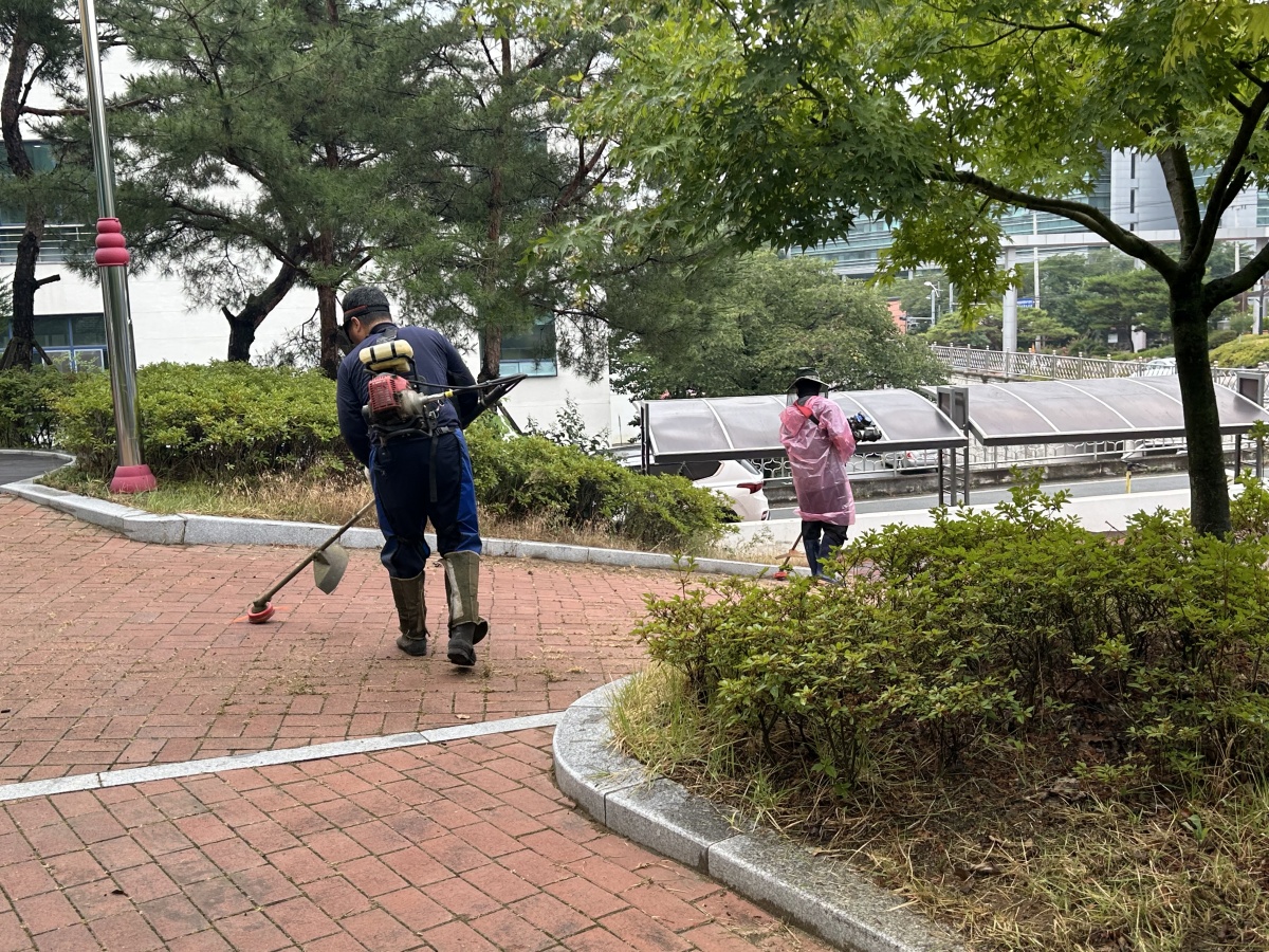 b0f137b77e8cd767a21b34683420a59b_1782888892_8301.jpg